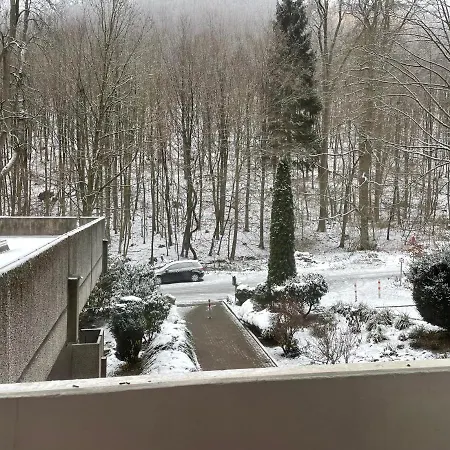 Ferienwohnung Fuchs-Fichte Bad Harzburg Exterior foto